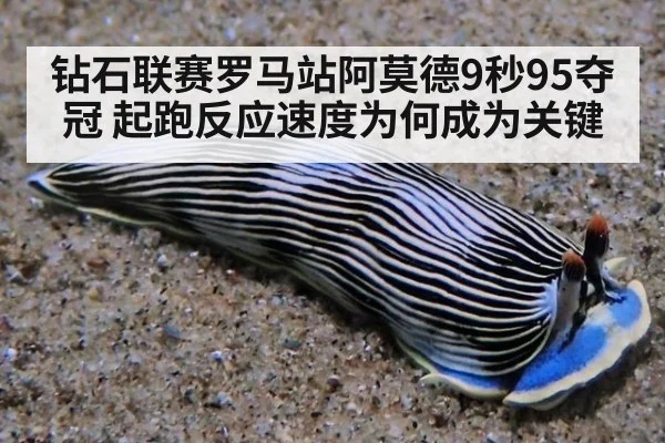 钻石联赛罗马站阿莫德9秒95夺冠 起跑反应速度为何成为关键